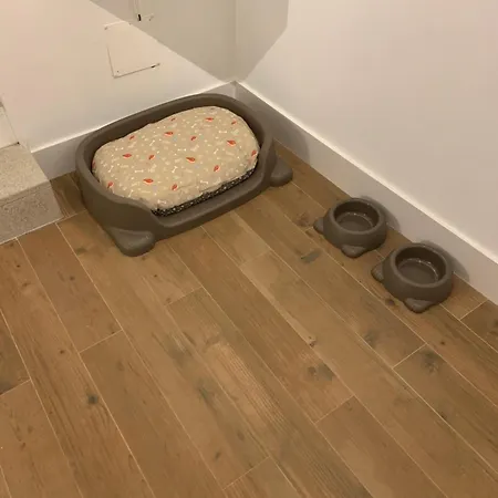 Encanto Casa Com Jacuzzi Open Space Сasa de vacaciones Tinalhas