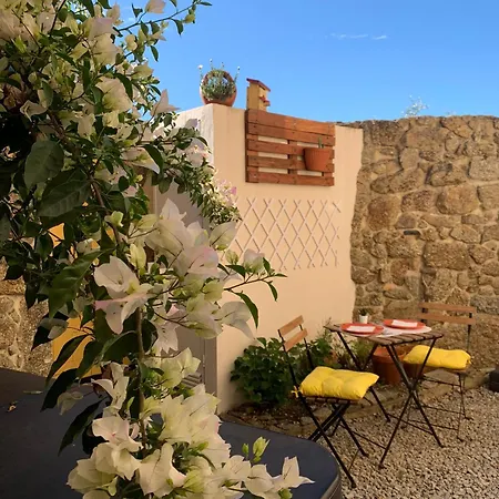 Encanto Casa Com Jacuzzi Open Space Castelo Branco Feriehus Tinalhas