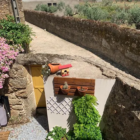 Encanto Casa Com Jacuzzi Open Space Tatil Evi Tinalhas