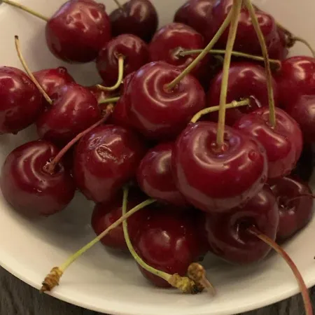 Encanto Casa Com Jacuzzi Open Space * Tinalhas