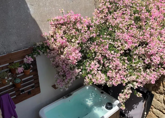 Encanto Casa Com Jacuzzi Open Space Castelo Branco